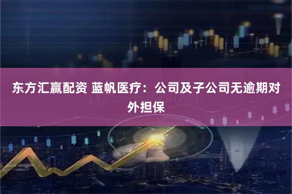 东方汇赢配资 蓝帆医疗：公司及子公司无逾期对外担保