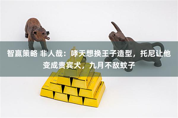 智赢策略 非人哉：哮天想换王子造型，托尼让他变成贵宾犬，九月不敌蚊子