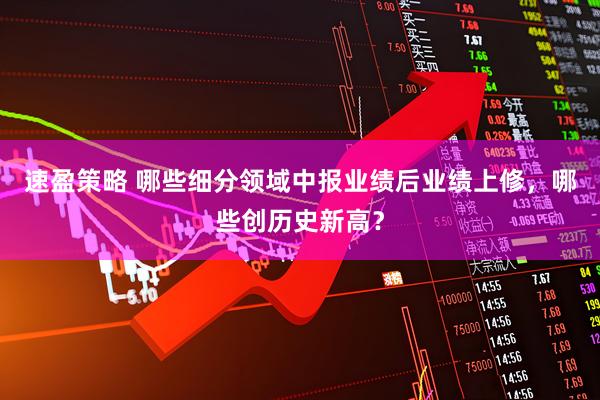 速盈策略 哪些细分领域中报业绩后业绩上修，哪些创历史新高？