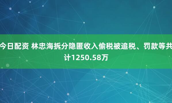 今日配资 林忠海拆分隐匿收入偷税被追税、罚款等共计1250.58万